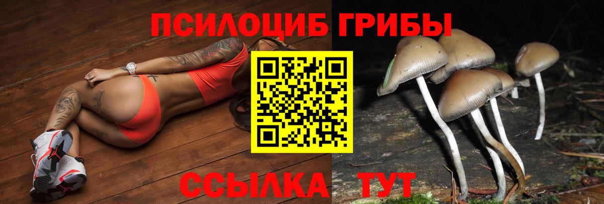 Заволжье  Псилоцибиновые грибы мухоморы  Галлюциногенные грибы прущие грибы  Вход с VPN 